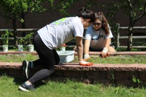 Deloitte Impact Day gardening
