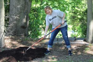Deloitte Impact Day raking