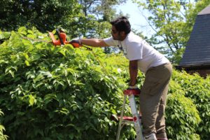 Deloitte Impact Day landscaping